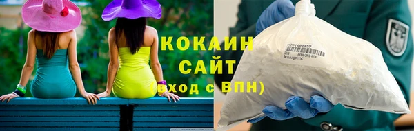 гидра Богородицк