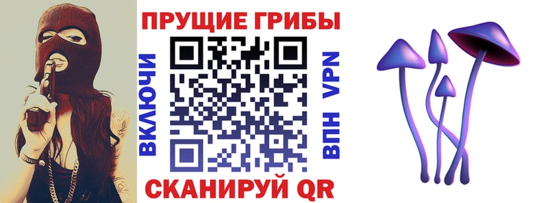 где можно купить наркотик  блэк спрут ONION  Галлюциногенные грибы прущие грибы  Кашира 